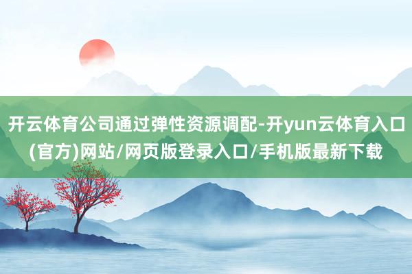 开云体育公司通过弹性资源调配-开yun云体育入口(官方)网站/网页版登录入口/手机版最新下载