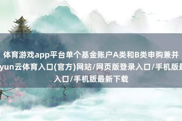 体育游戏app平台单个基金账户A类和B类申购兼并适度-开yun云体育入口(官方)网站/网页版登录入口/手机版最新下载