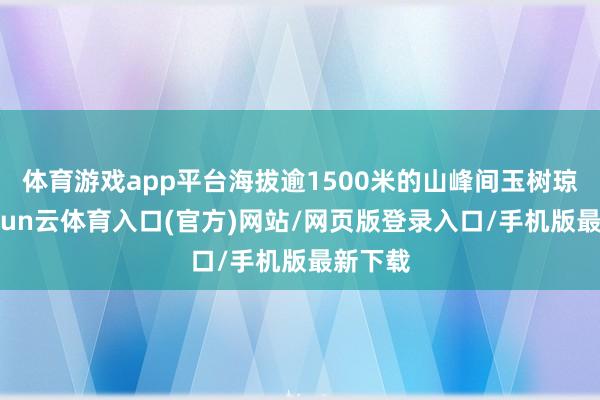 体育游戏app平台海拔逾1500米的山峰间玉树琼枝-开yun云体育入口(官方)网站/网页版登录入口/手机版最新下载